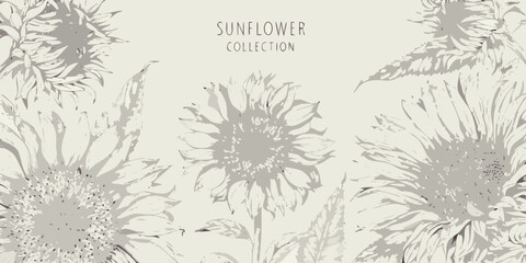 Sunflower floral ornament gray toned vector illustration on a light background © Bipul