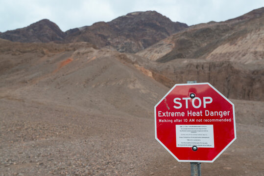 stop sign in the desert