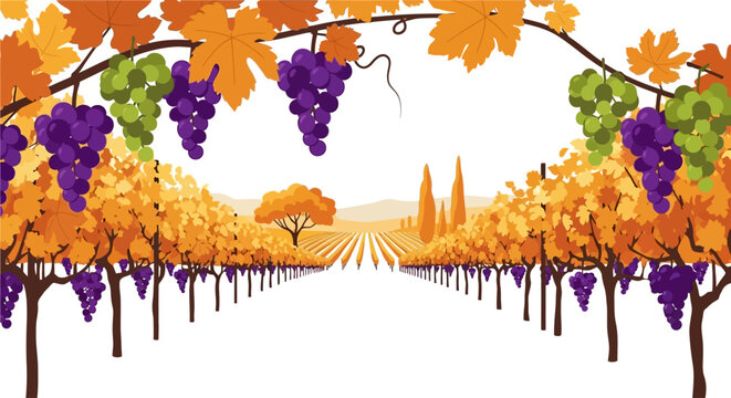 Autumn grapevine landscape with ripe grapes and golden leaves