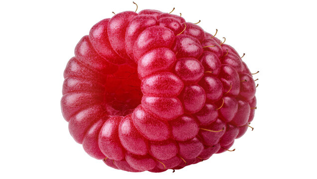 Single ripe red raspberry with visible drupelets and fine hairs, isolated on transparent background