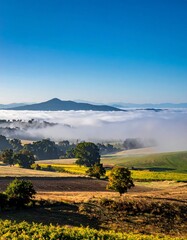 Obraz premium Rolling hills and foggy valley landscape.