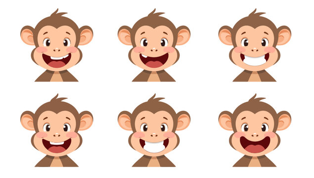Monkey faces with different expressions.