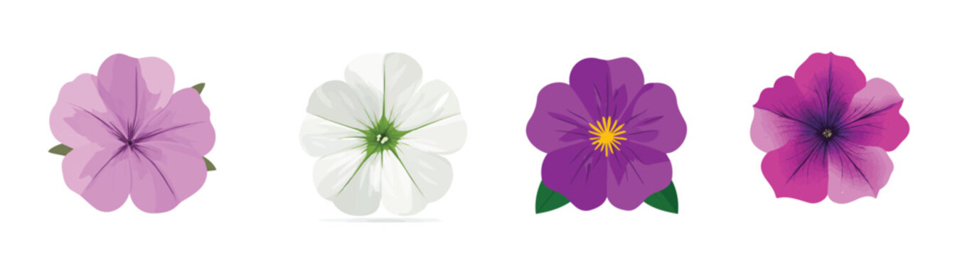 Collection of Realistic petunia flower illustrations set, Clean vector set ideal for packaging, label, and product design, Vector illustration of vector design, A Realistic simple illustration