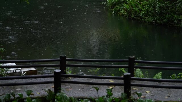 Rainforest Lodge and Pond in Mindo Ecuador