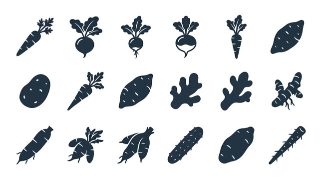 Premium flat minimal vector icon set of 12 root vegetables in single color style: carrot, beetroot, radish, turnip, parsnip, sweet potato, potato, ginger root, turmeric root, cassava, yam, burdock