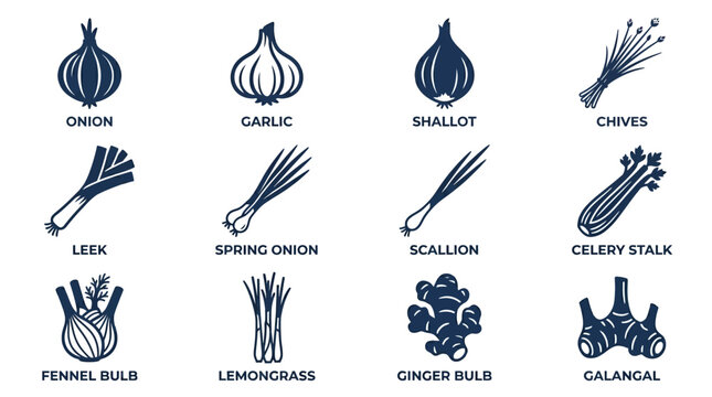 Premium flat minimal vector icon set of 12 bulb and aromatic vegetables in single color style: onion, garlic, shallot, leek, spring onion, chives, fennel bulb, scallion, celery stalk, lemongrass