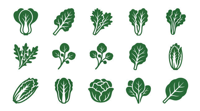Premium flat minimal vector icon set of 12 leafy green vegetables in single color style: lettuce, spinach, kale, arugula, bok choy, swiss chard, mustard greens, watercress, collard greens