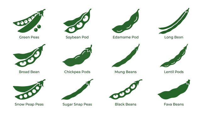 Premium flat minimal vector icon set of 12 legumes and pod vegetables in single color style: green peas, soybean pod, edamame, long bean, kidney bean, chickpea pod, lentil pod, snow peas