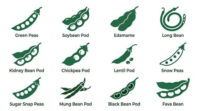 Premium flat minimal vector icon set of 12 legumes and pod vegetables in single color style: green peas, soybean pod, edamame, long bean, kidney bean, chickpea pod, lentil pod, snow peas