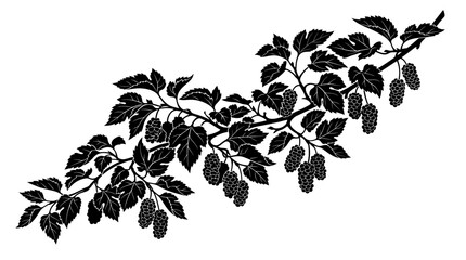 Fototapeta premium Mulberry Branch Silhouette Vector Illustration