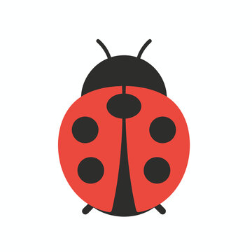 Minimalist vector illustration of a cute red ladybug isolated on white background.