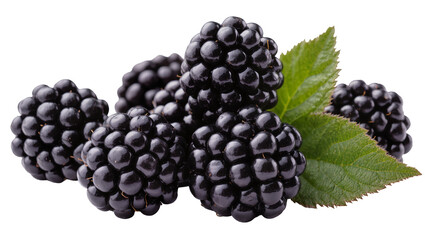 Fresh ripe blackberries with green leaves, isolated on transparent background © Maria