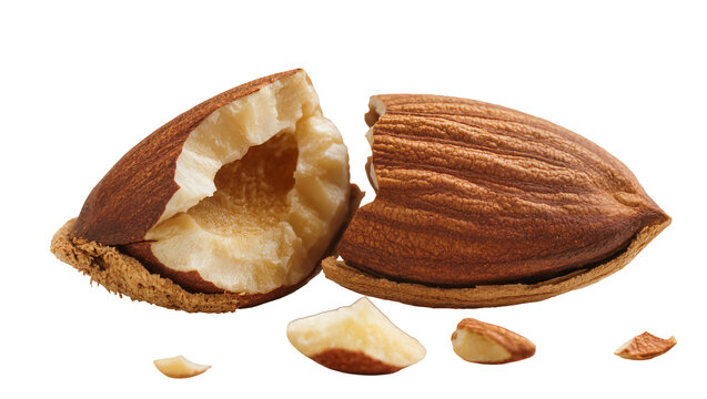 Broken almond nut with shell fragments and pieces, isolated on transparent background