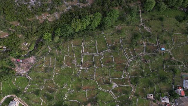 Aerial view of ancient agricultural terraces and stone walls, Greece, Thassos