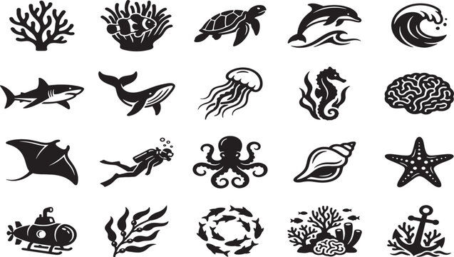 Collection of black and white marine life and oceanographic coral clownfish sea anemone sea turtle dolphin