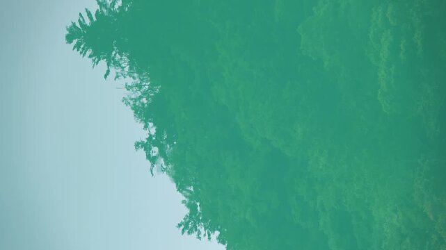 水面に木々のシルエットが反射する抽象的な自然背景