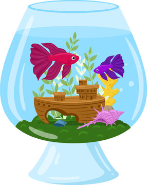 Two colorful fish swimming among decorative plants, a shipwreck, and shells inside a glass fishbowl