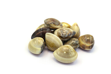 Closed up fresh baby clams. venus shell. shellfish. carpet clams. short necked clams. as raw food from the sea are the seafood ingredients. fresh clams isolated on white background © Pisan