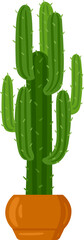 Obraz premium Potted saguaro cactus vector illustration providing a desert plant concept