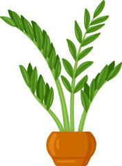 Obraz premium Potted ZZ plant bringing green decor and fresh indoor living