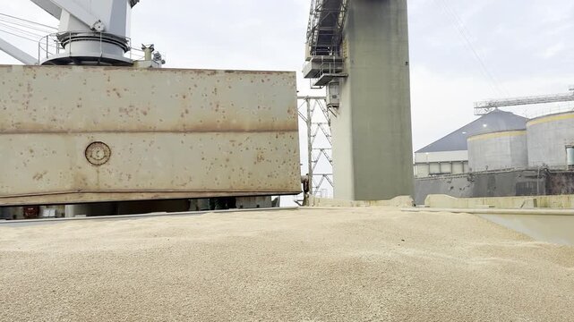 Bulk wheat loaded in cargo hold of large bulk carrier. Grain fills ship hold with hatch coaming and covers visible. Port grain elevator in background. Global agricultural export and trade.
