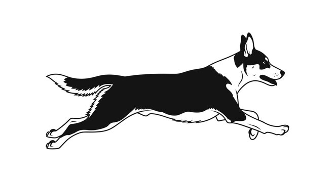 Dynamic black and white dog vector illustration.