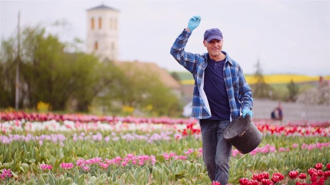 Smiling man walking through a colorful tulip field