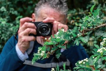 Fototapeta premium Senior man focusing on nature photography, capturing details of white buds on a green branch with his compact digital camera outdoors