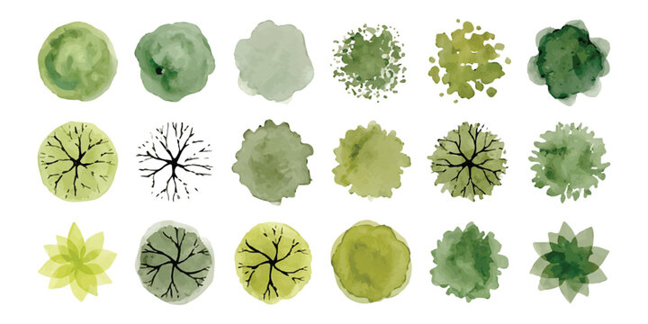 Set of green trees top view icons for landscape design architectural plans