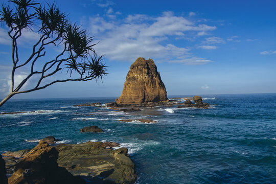 Iconic sea stack formation at Papuma beach framed by a wild pandanus tree branch under blue sky, Jember, East Java, Indonesia. Creative seascape.