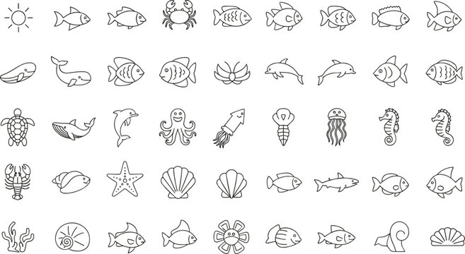 Marine life icon illustration collection featuring fish, crab, whale, dolphin, turtle, octopus, coral, shells, and ocean design