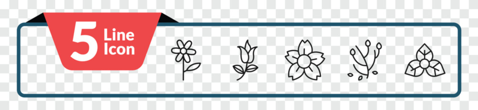 outline nature icons set - oleander, flower of leaves, anemone, bougainvillea. editable vector for web and mobile ui