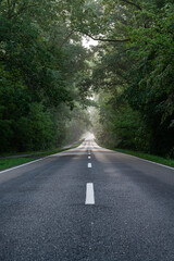 Droga przez las. Road through the forest. © tom