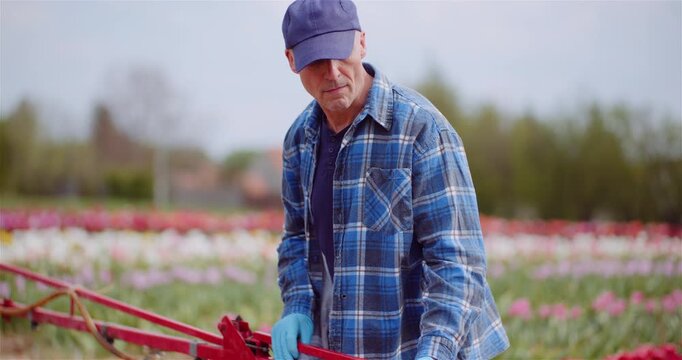 Person adjusting red farm equipment in a blooming flower field