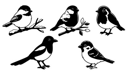 Cartoon Winter Birds Vector Set - Chickadee, Bullfinch, Robin, Magpie, Sparrow © Smail