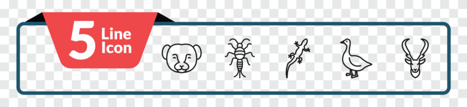 outline animals icons set - weasel, silverfish, goose, elk. editable vector for web and mobile ui