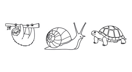 Sloth, Snail, and Turtle Line Art Illustration © Caket