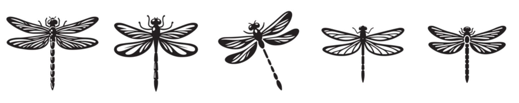 dragonfly silhouette