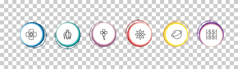 outline nature icons set - poppy, ylang-ylang, clovers, paper birch tree. editable vector for web and mobile ui © IconArt