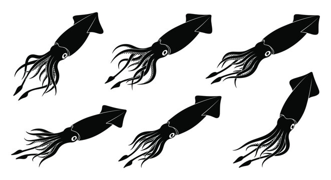 Group of six detailed black silhouettes of squids swimming in different directions against a solid white background.