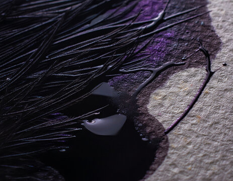 Abstract purple ink and feather macro photography with water droplets on textured paper, artistic dark moody background