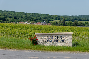 Fototapeta premium Epernay, France, May 24, 2026. A scenic view of a stone welcome sign reading Ludes Premier Cru