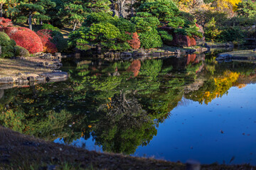Obraz premium Pond and reflections of trees at the Japanese garden in Koishikawa Botanical Garden Tokyo December 2023