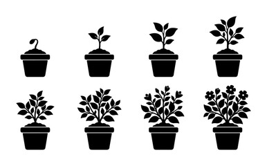 Fototapeta premium Plant Growth Stages Icons, Seedling to Blooming Flower Pot Vector Set, Black Silhouette Botanical Development Collection