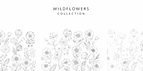 Obraz premium Wildflower Collection Delicate Watercolor Illustration On White Background