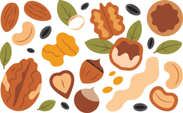 Assorted nut collection featuring walnuts, almonds, cashews, hazelnuts, and seeds in a flat stylized set