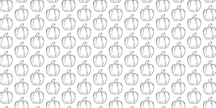 Hand drawn seamless pattern of sweet paprika bell pepper vector sketch outline background