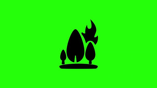 Clean 4K video showing multiple pine trees engulfed in burning hot hazard flames and smoke silhouette bouncing. Universal environmental graphic.