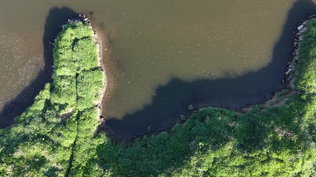Top down aerial view of a green riverbank and dark river water. Abstract nature background of a winding river coast from drone.