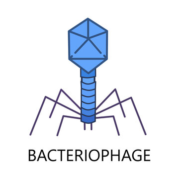 illustration of Bacteriophage